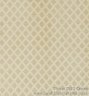 Tirana 5213 Cream.jpg